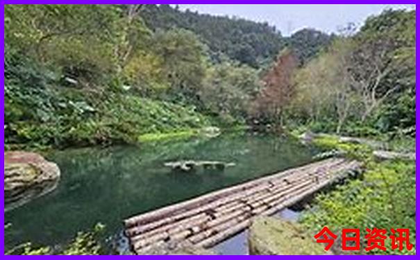 夏季适合去哪里玩